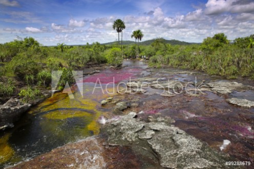 Picture of The river Canio Cristales is commonly called the River of Five Colors or the Liquid Rainbow